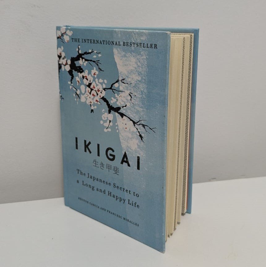 libro-para-encontrar-proposito